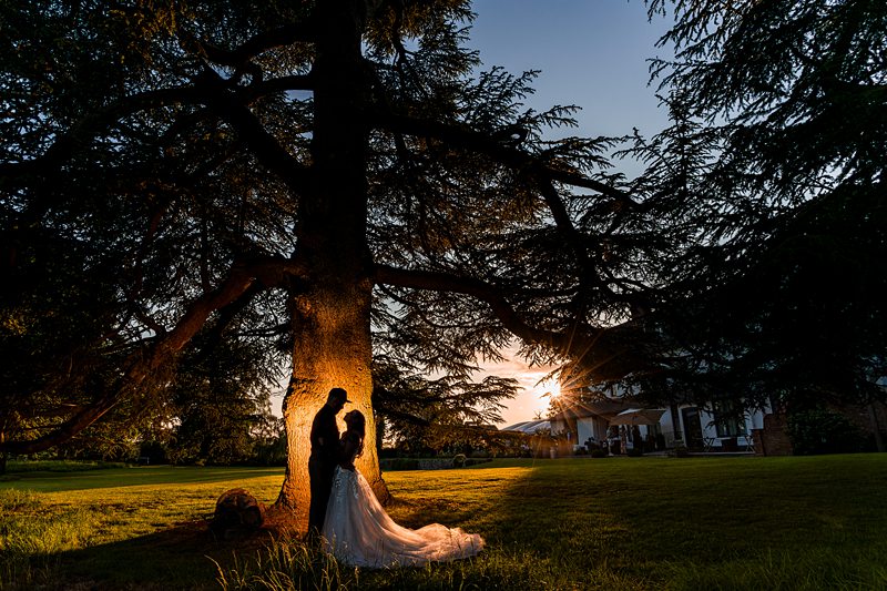 Couple embraces under large tree at sunset.