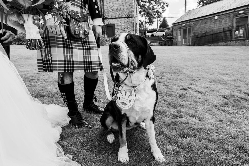 Dog with wedding sign, man in kilt nearby.