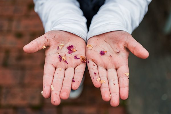 Hands holding scattered dried flower petals.