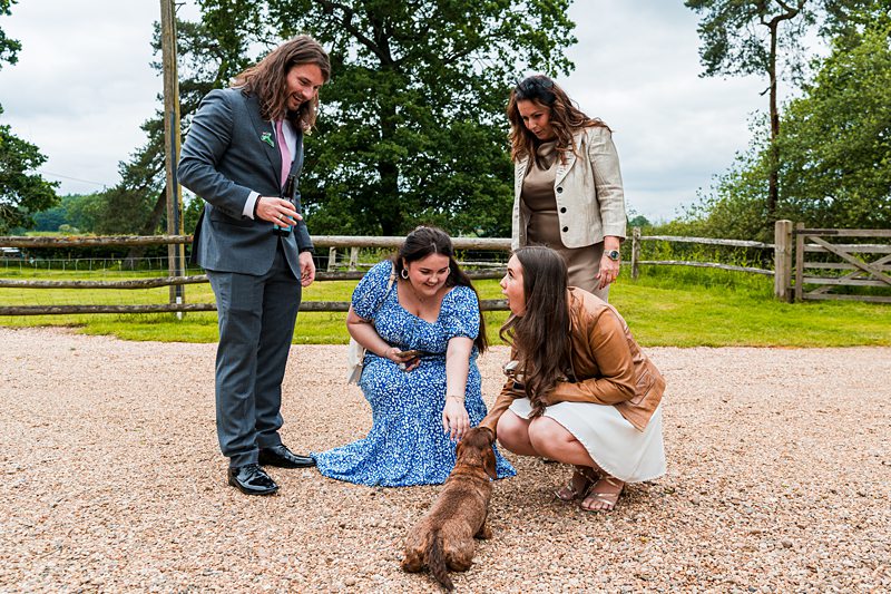 Group interacting with a small brown dog outdoors.