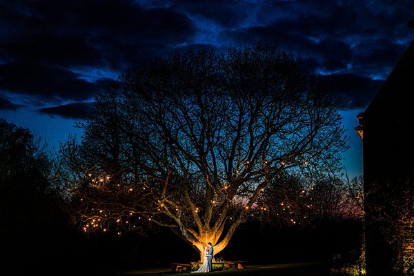 Couple under illuminated tree at night.