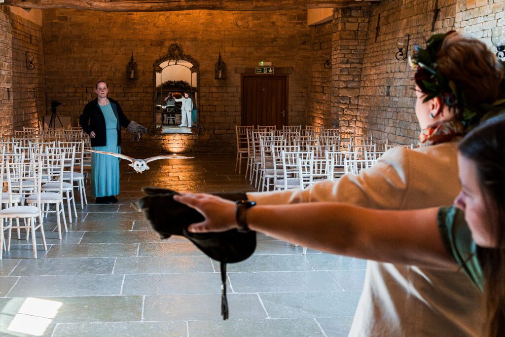 Owl flying indoors at a venue with chairs.